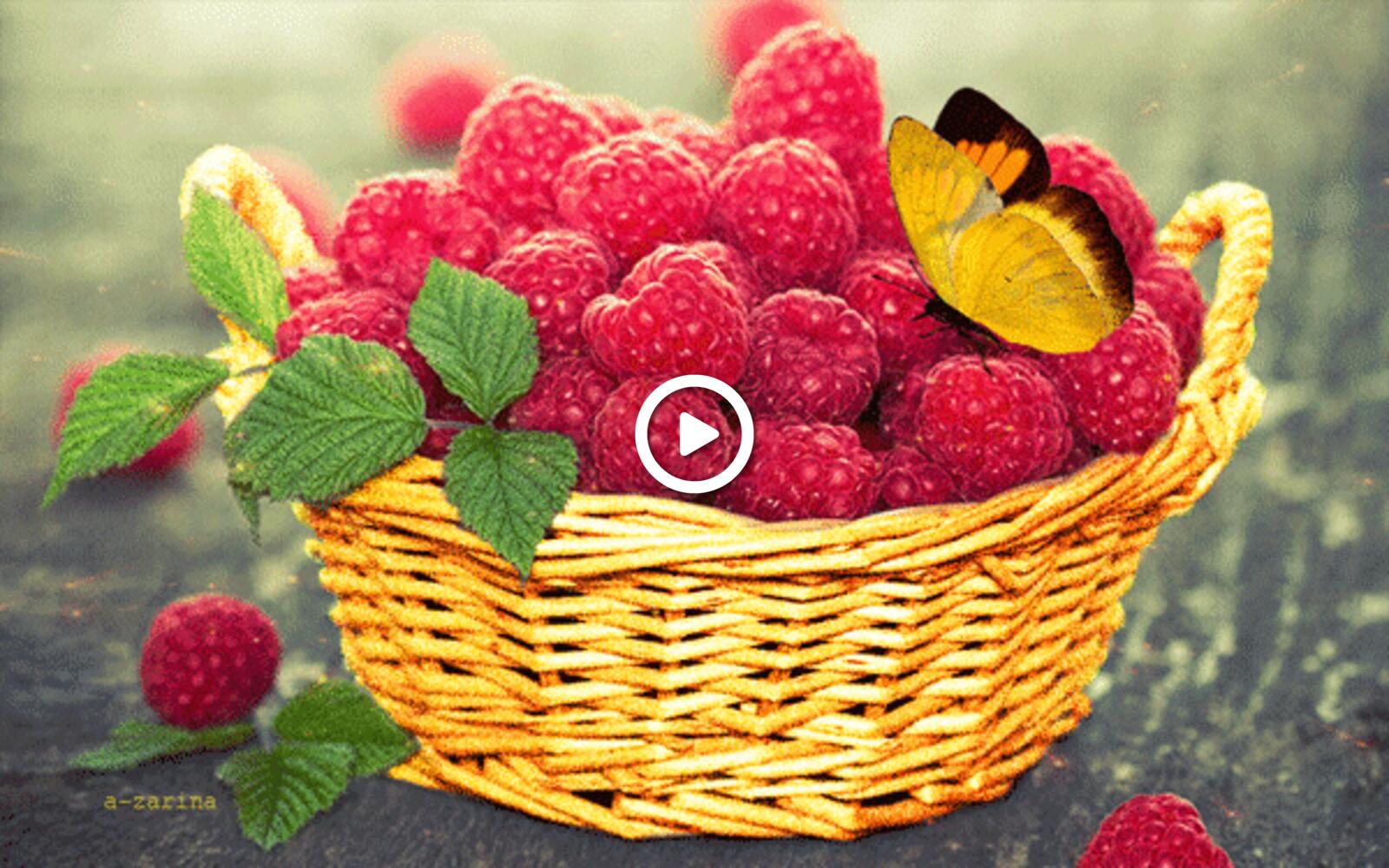 raspberry basket butterfly