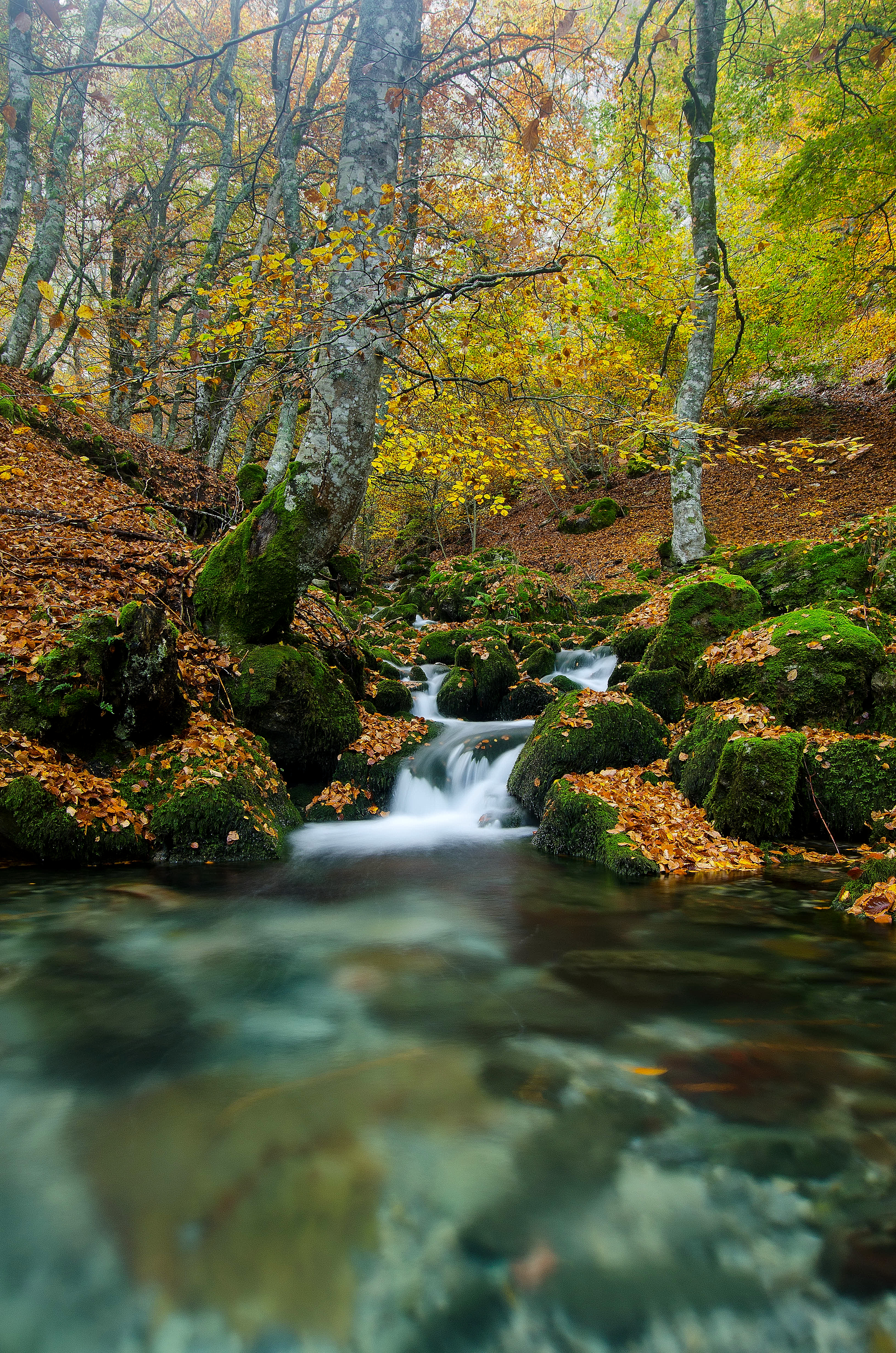 Wallpapers landscape nature autumn waterfall on the desktop