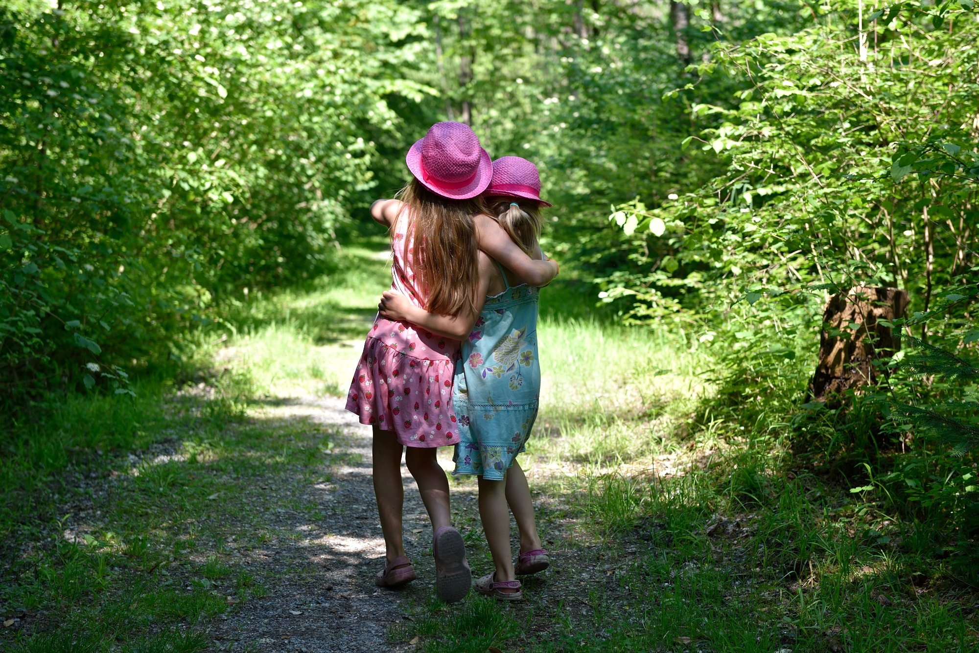 Гуляла девочка в лесу. Девочка в лесу. Девочка гуляет. Девочка гуляет в лесу. Прогулка в летнем лесу.