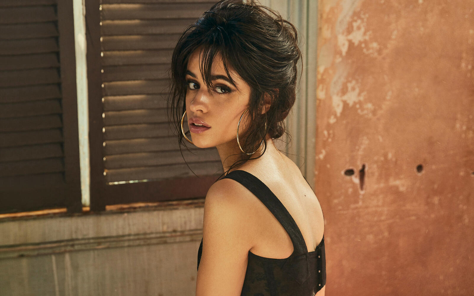 Wallpapers Camila Cabello brunette standing with his back on the desktop