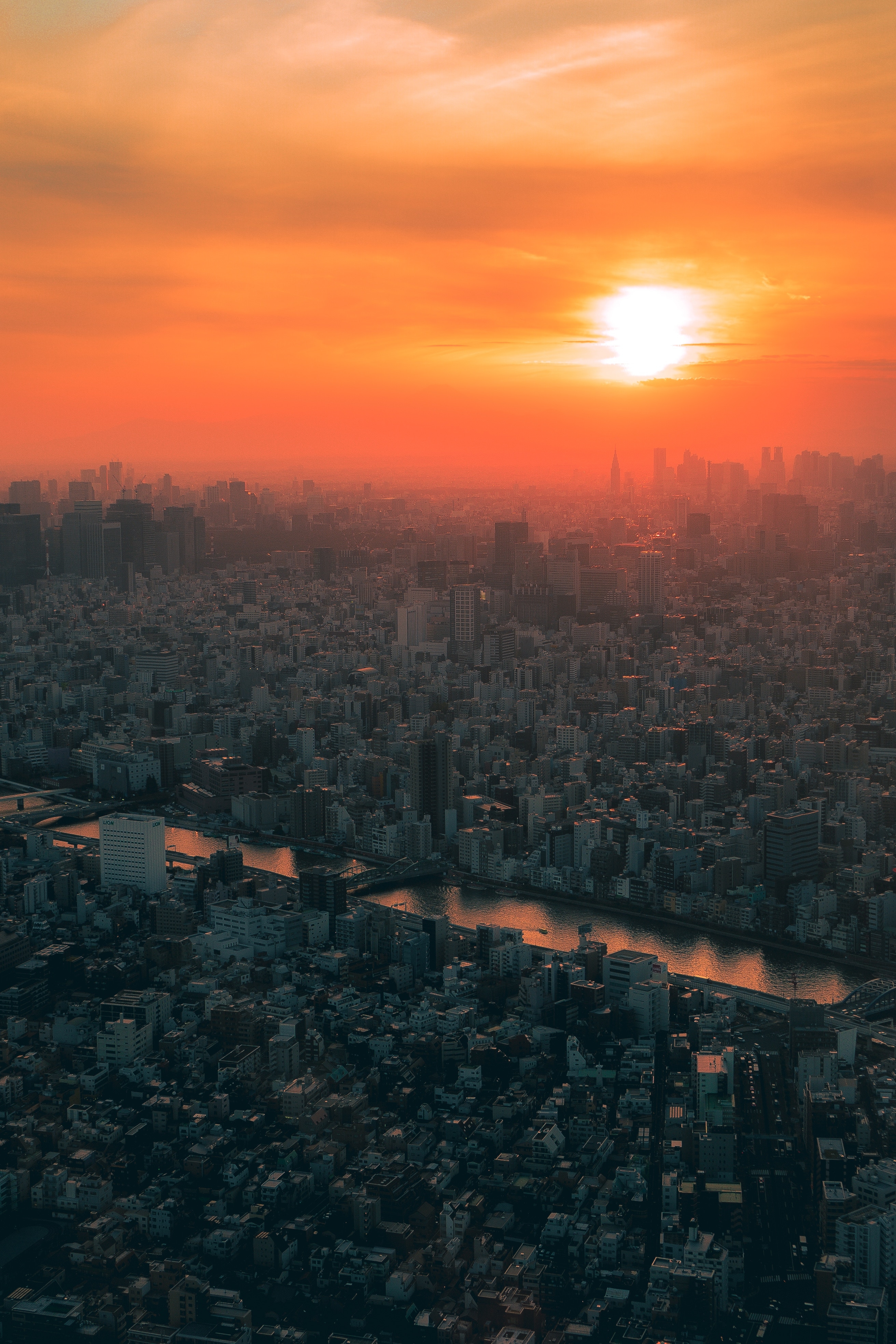 Обои Япония Токио закат городской пейзаж на рабочий стол
