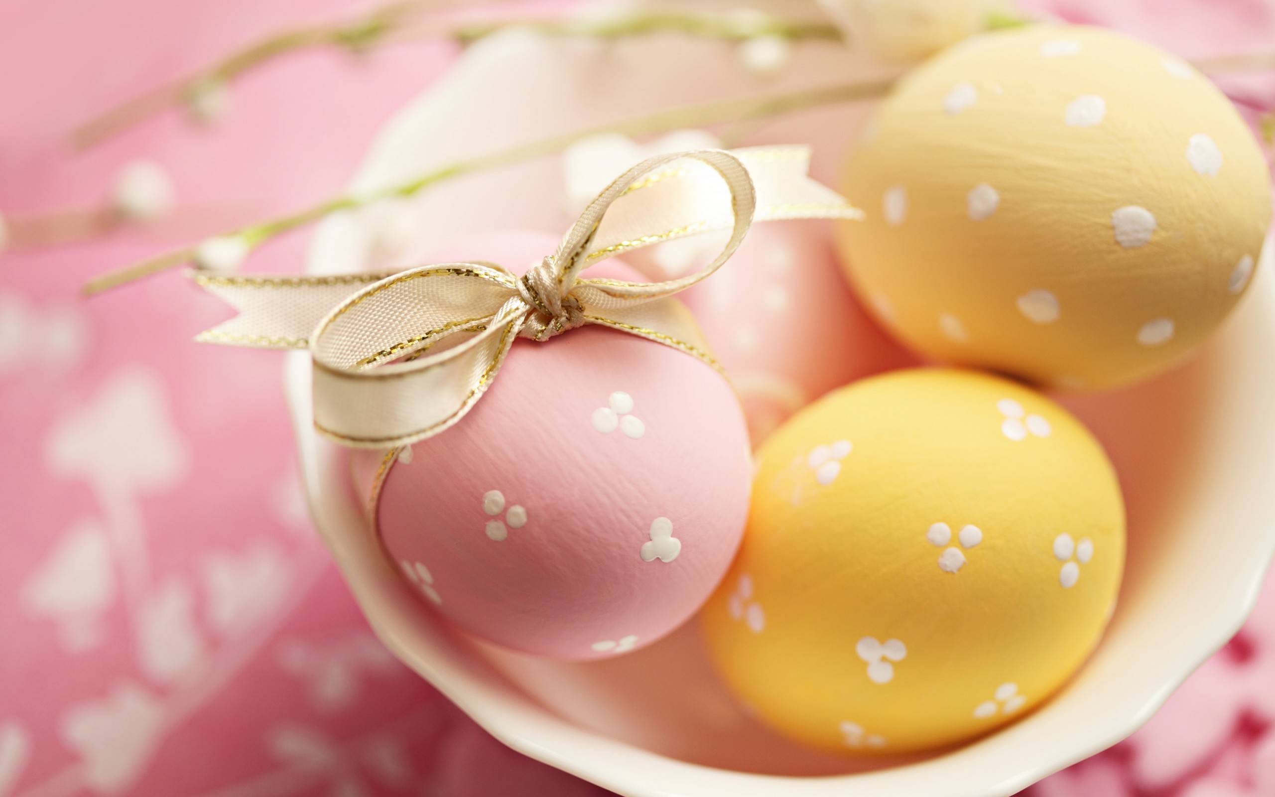 Фото бесплатно крашенные яйца, цветные яйца, тарелка с яйцами