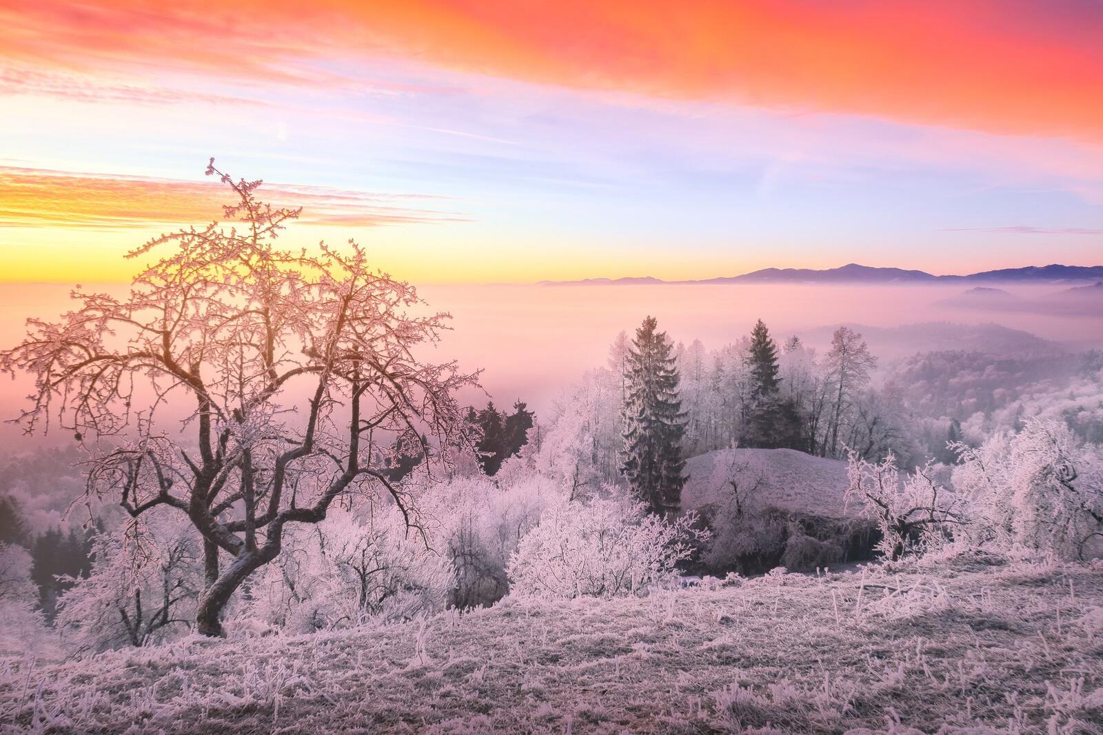 Wallpapers hoarfrost sunset mountains on the desktop
