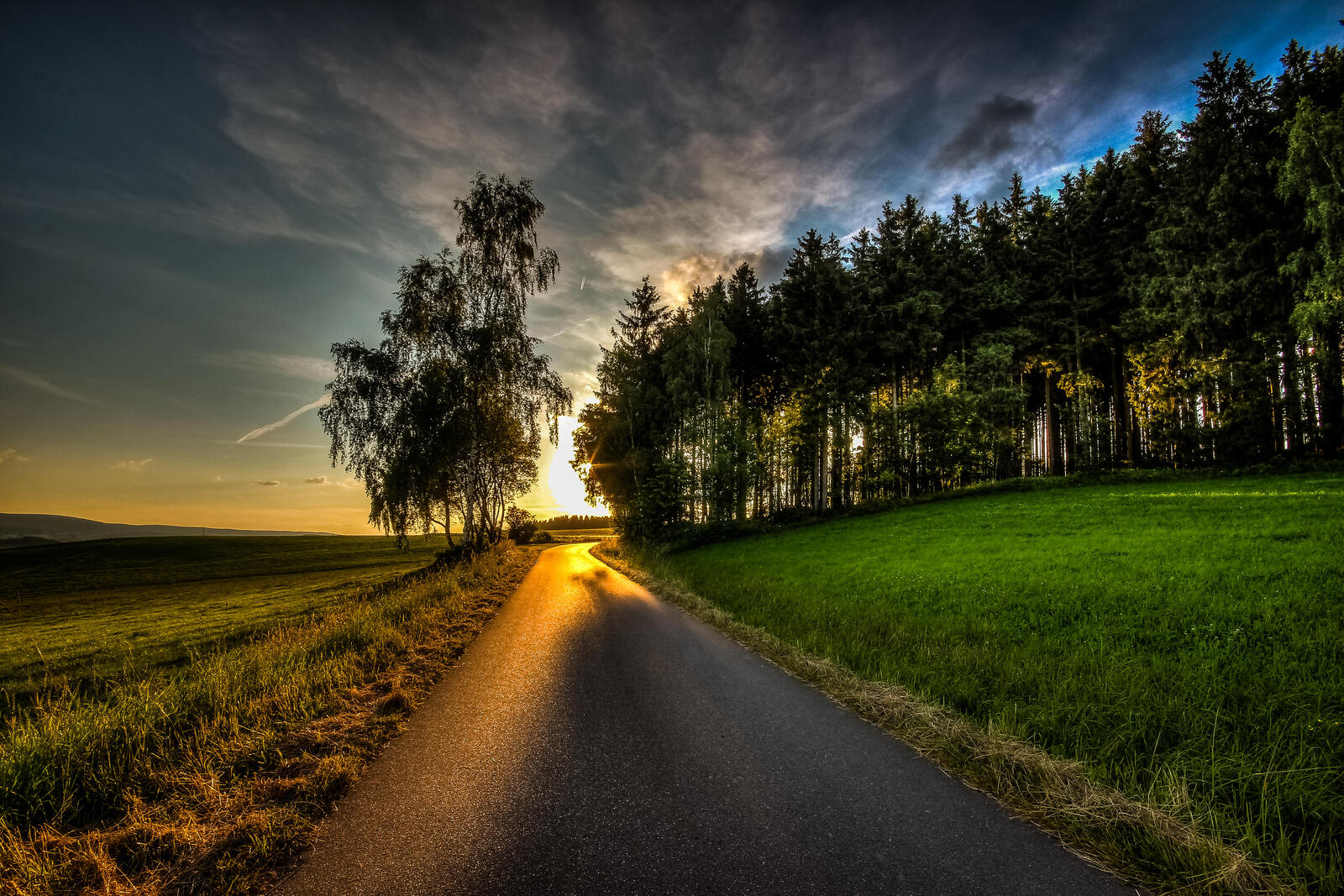 Wallpapers green grass landscapes paved road on the desktop
