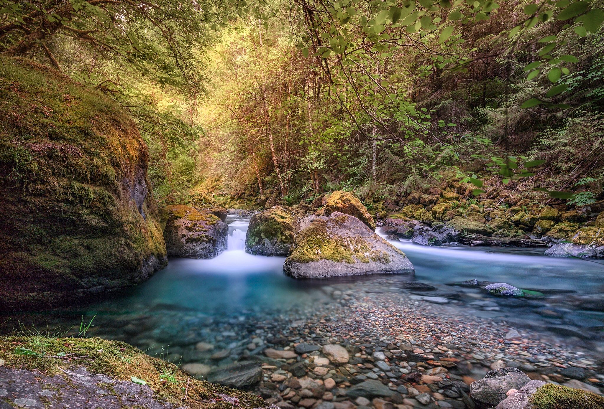 Фото бесплатно камни в воде, деревья, водопад