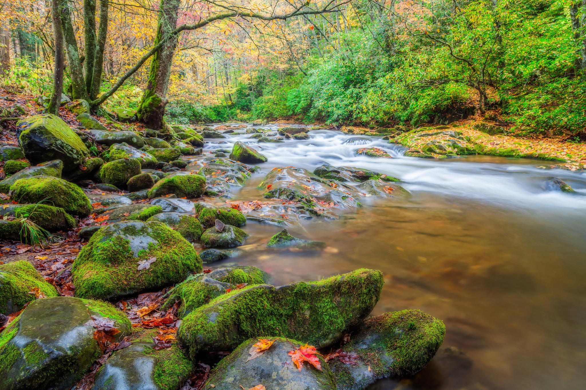 Wallpapers Smoky Mountains National Park Great Smoky Mountains Park Tennessee on the desktop
