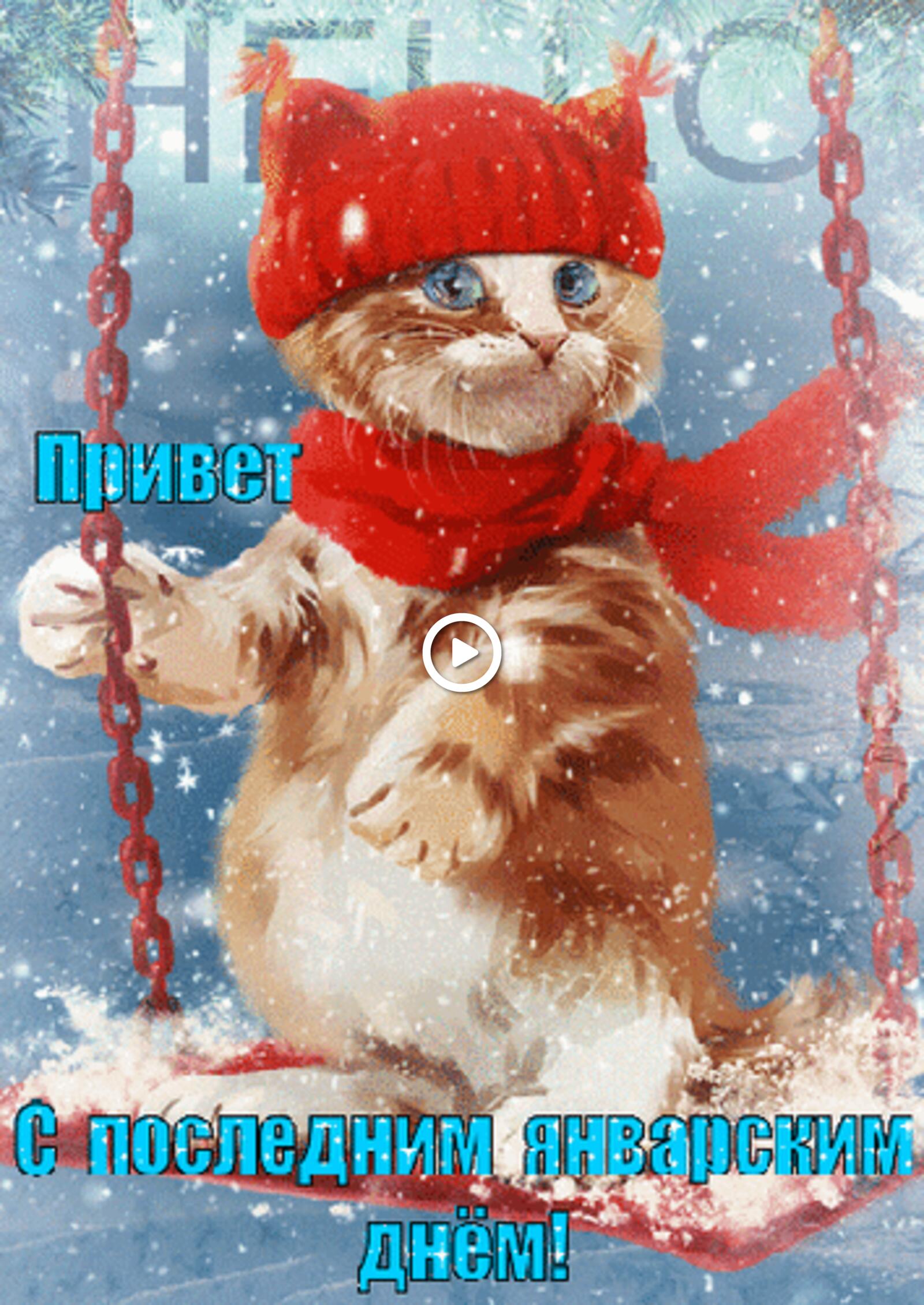 一张以一月的最后一天 新年快乐卡 小猫为主题的明信片