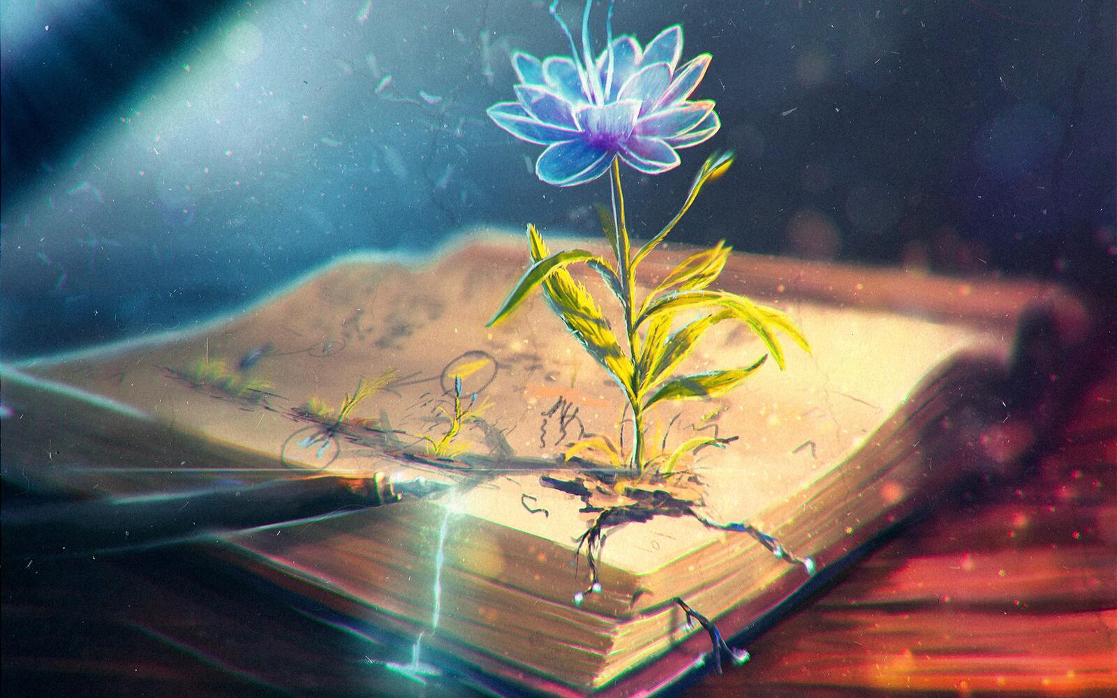 Обои синий цветок креативный дизайн цветок распускается на книге на рабочий стол