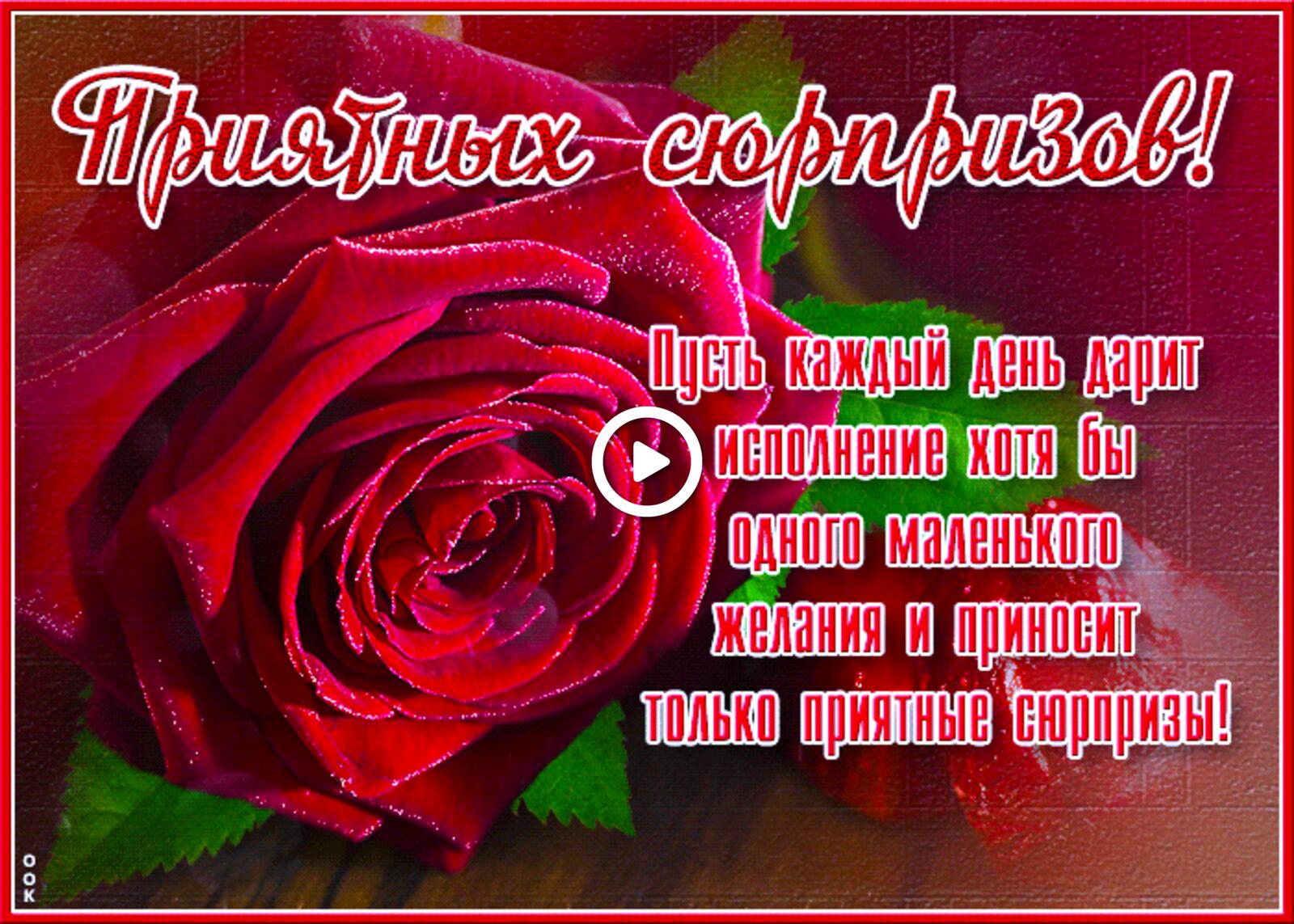 Открытка на тему пусть каждый день дарит приятные сюрпризы красная роза текст бесплатно