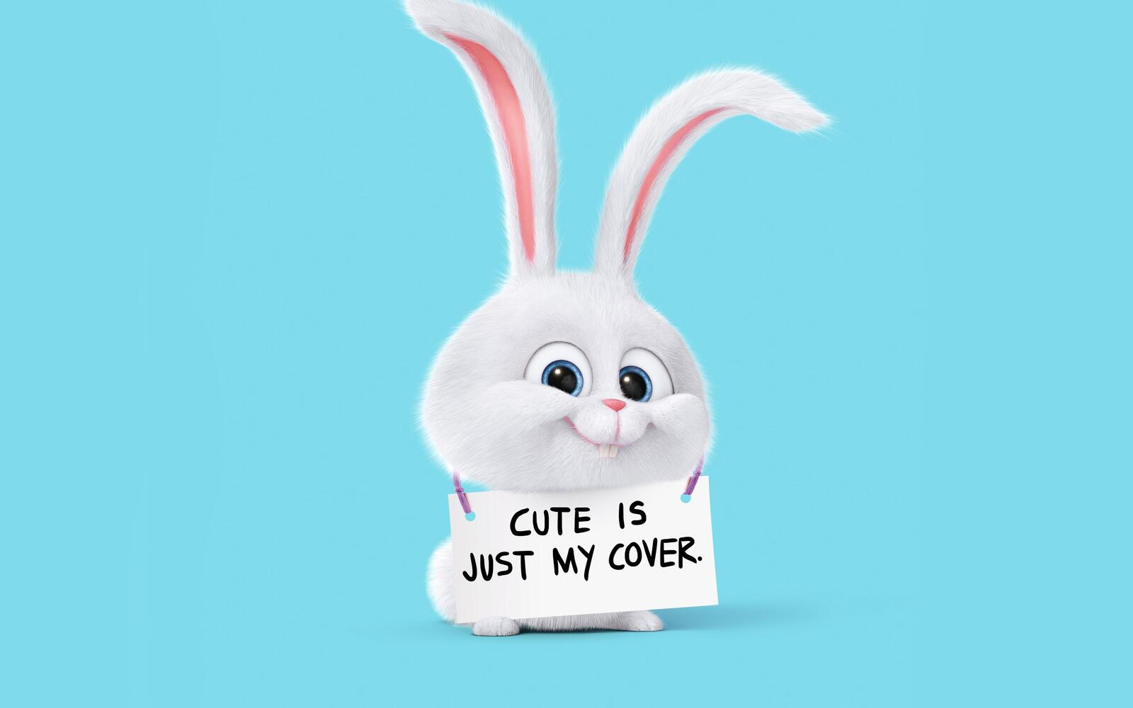 Wallpapers cartoons The Secret Life Of Pets rabbit on the desktop
