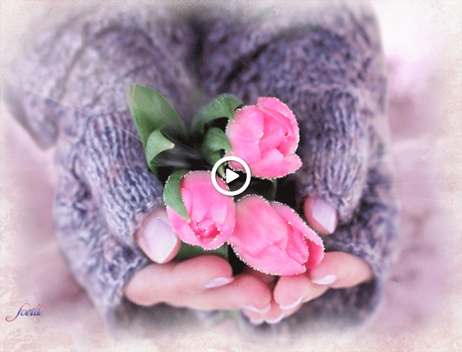 Открытка на тему весна гифки красивые розовые цветы тюльпаны бесплатно