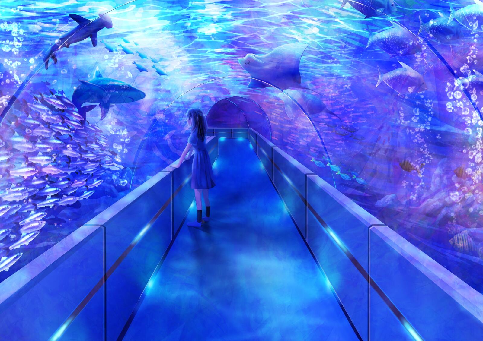 Wallpapers girl anime aquarium on the desktop