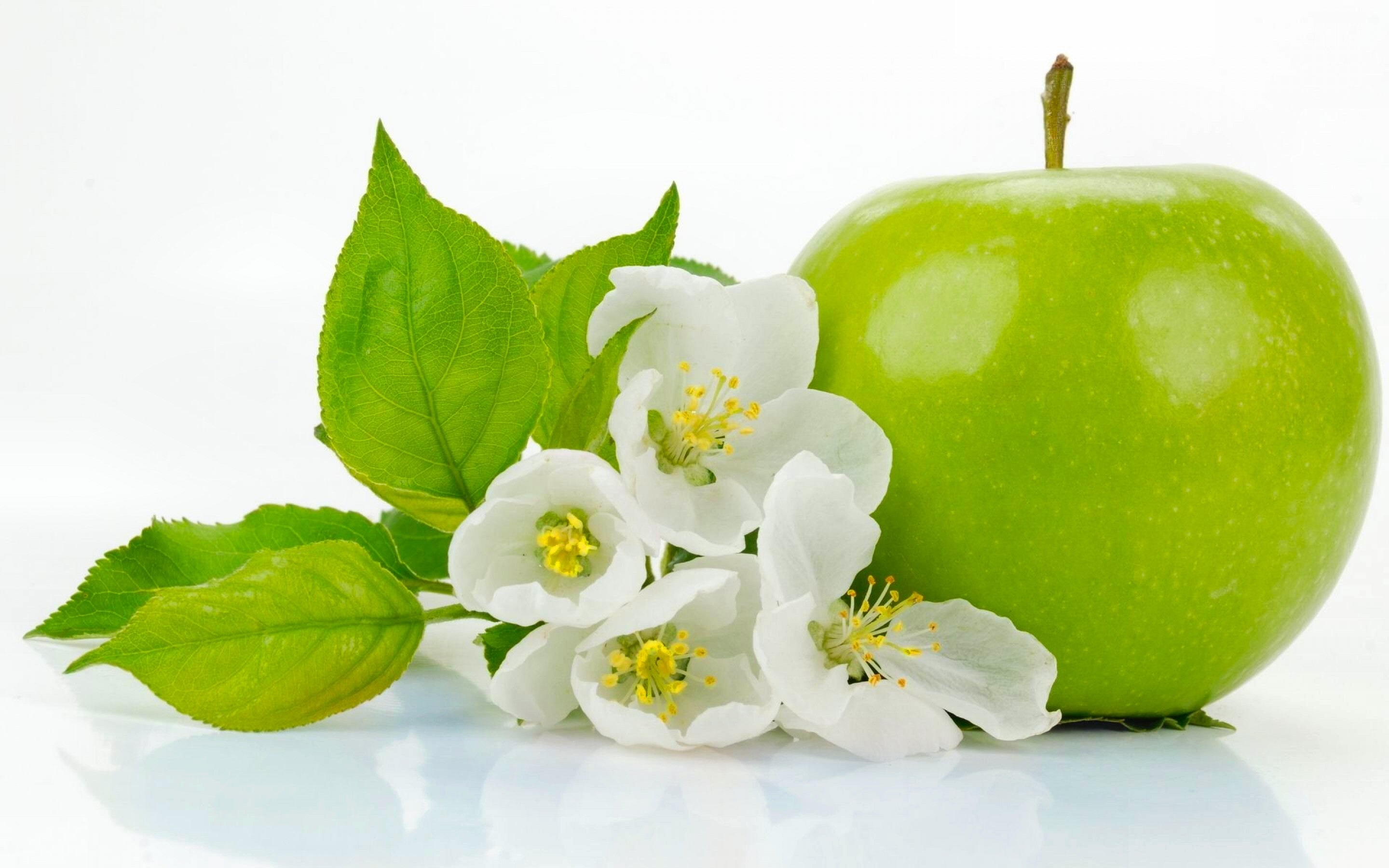 Фото обои яблоко, фрукты, зелёный, цветок, еда - бесплатные картинки на Fonwall