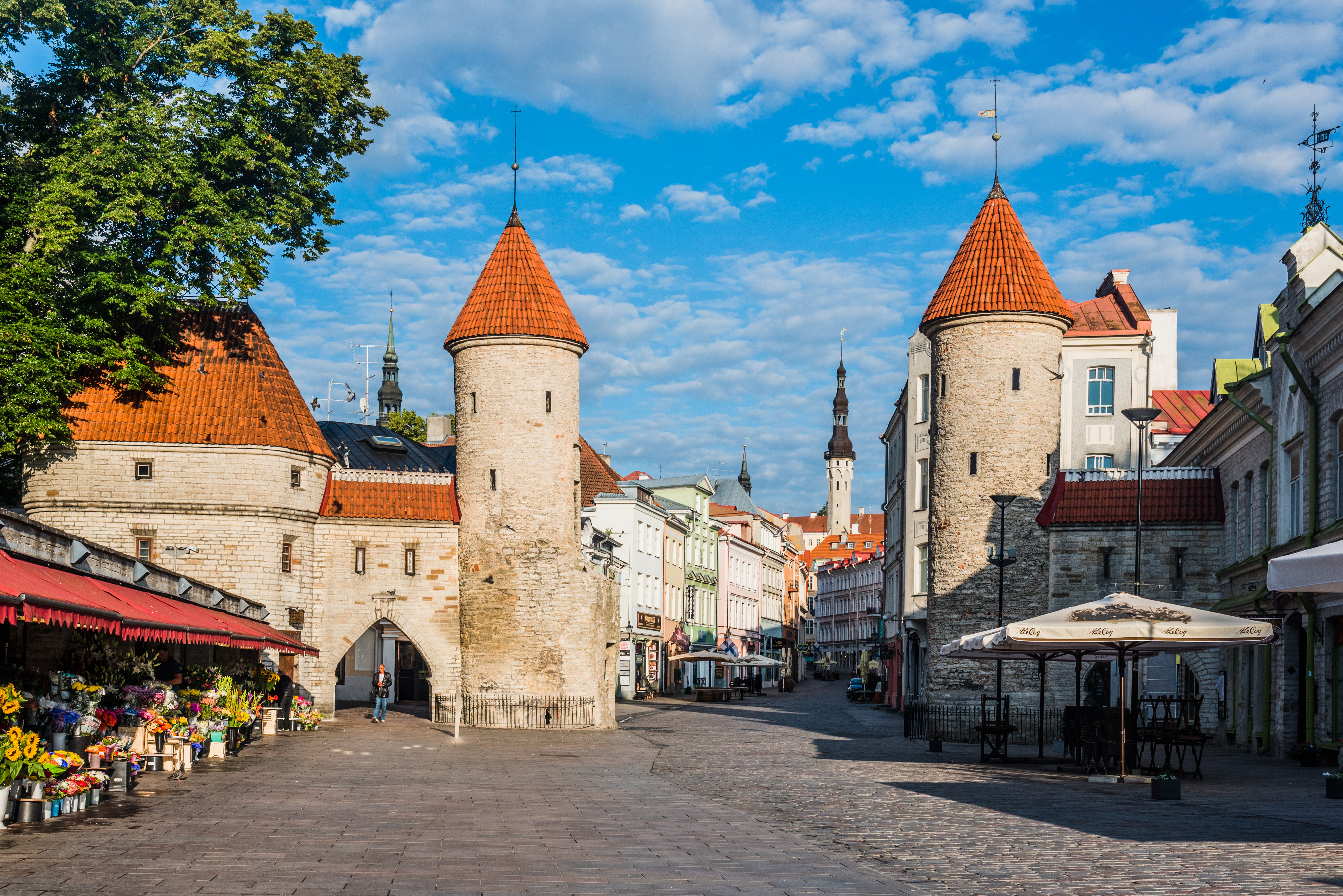 Wallpapers cities Tallinn towers on the desktop