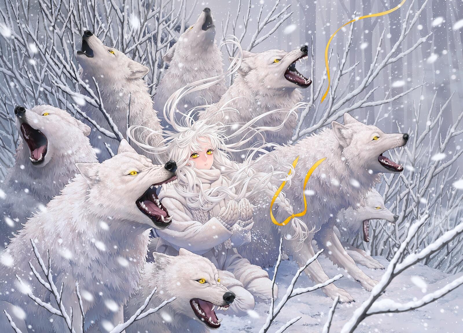 Wallpapers forest wolves winter on the desktop