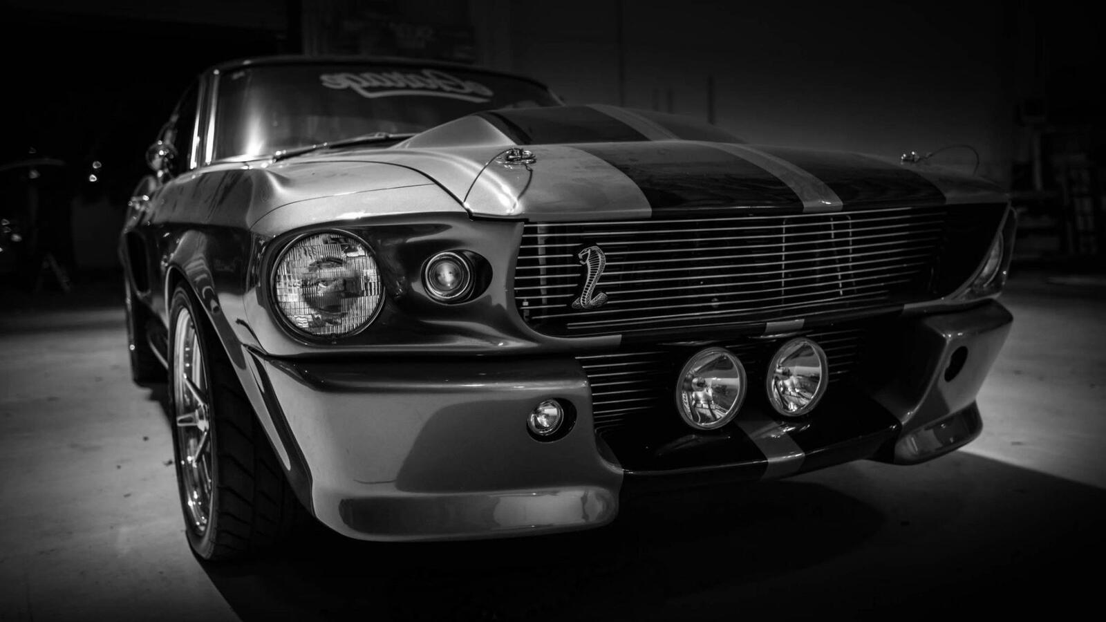 Wallpapers monochrome Ford Mustang cars on the desktop