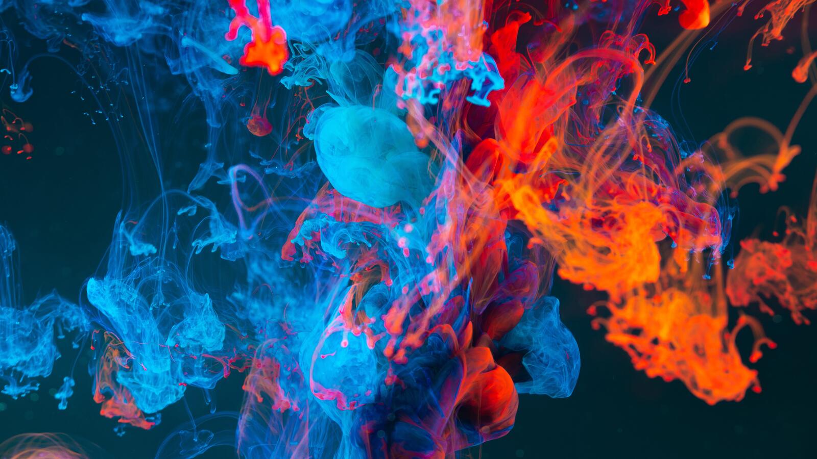 Wallpapers red and blue smoke dancing colors on the desktop