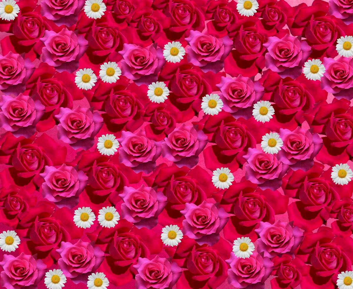 Цветочный фон с розовыми цветами