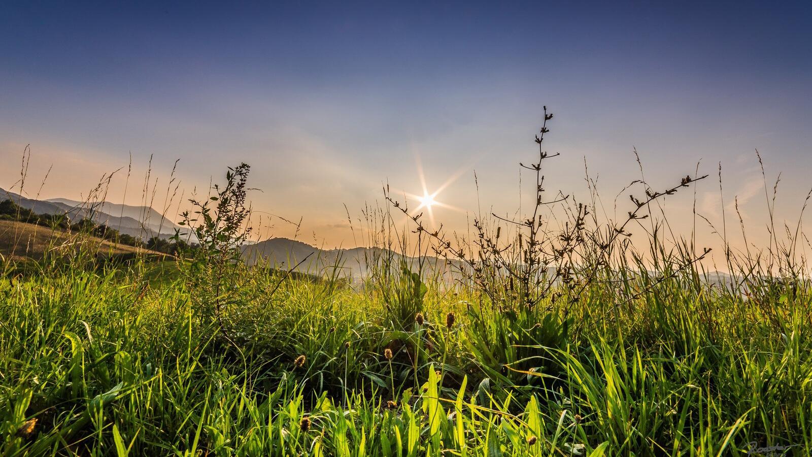 Wallpapers rural areas grass sunset on the desktop