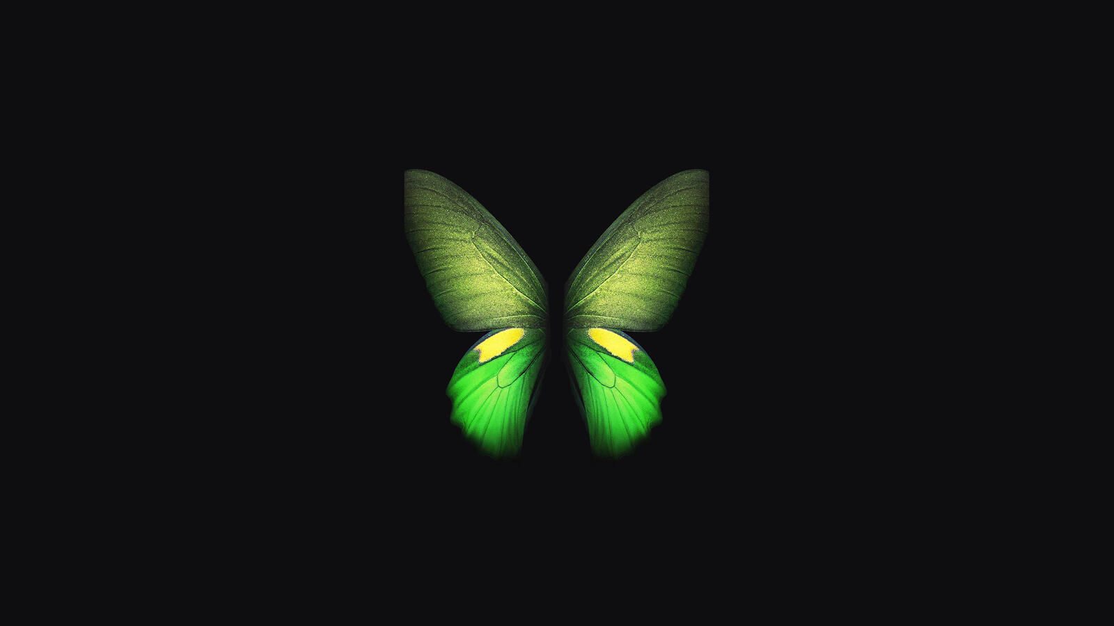 Wallpapers butterfly Samsung stock on the desktop