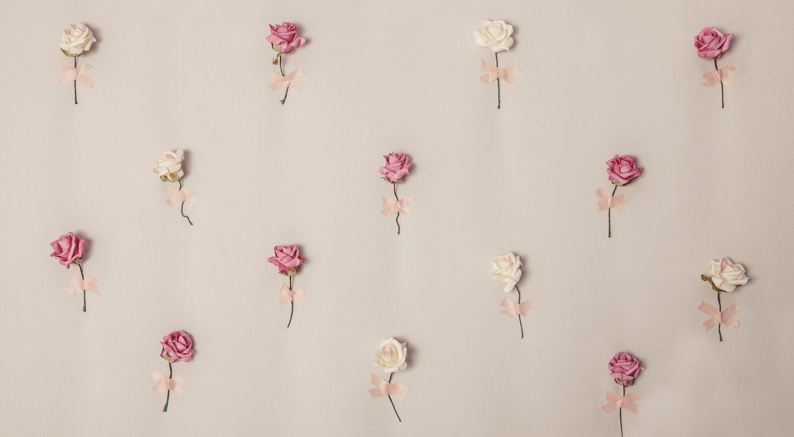 Обои розы розовые декор на рабочий стол