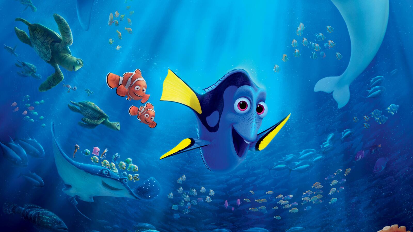 Wallpapers Finding Dory movies animated movies on the desktop