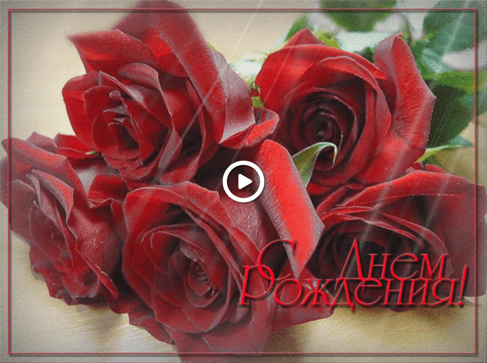 A postcard on the subject of animation flowers red roses for free