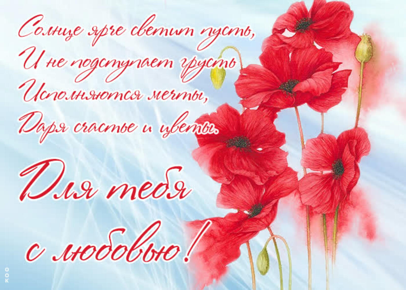 一张以特别是对你的爱 鲜花 红花为主题的明信片