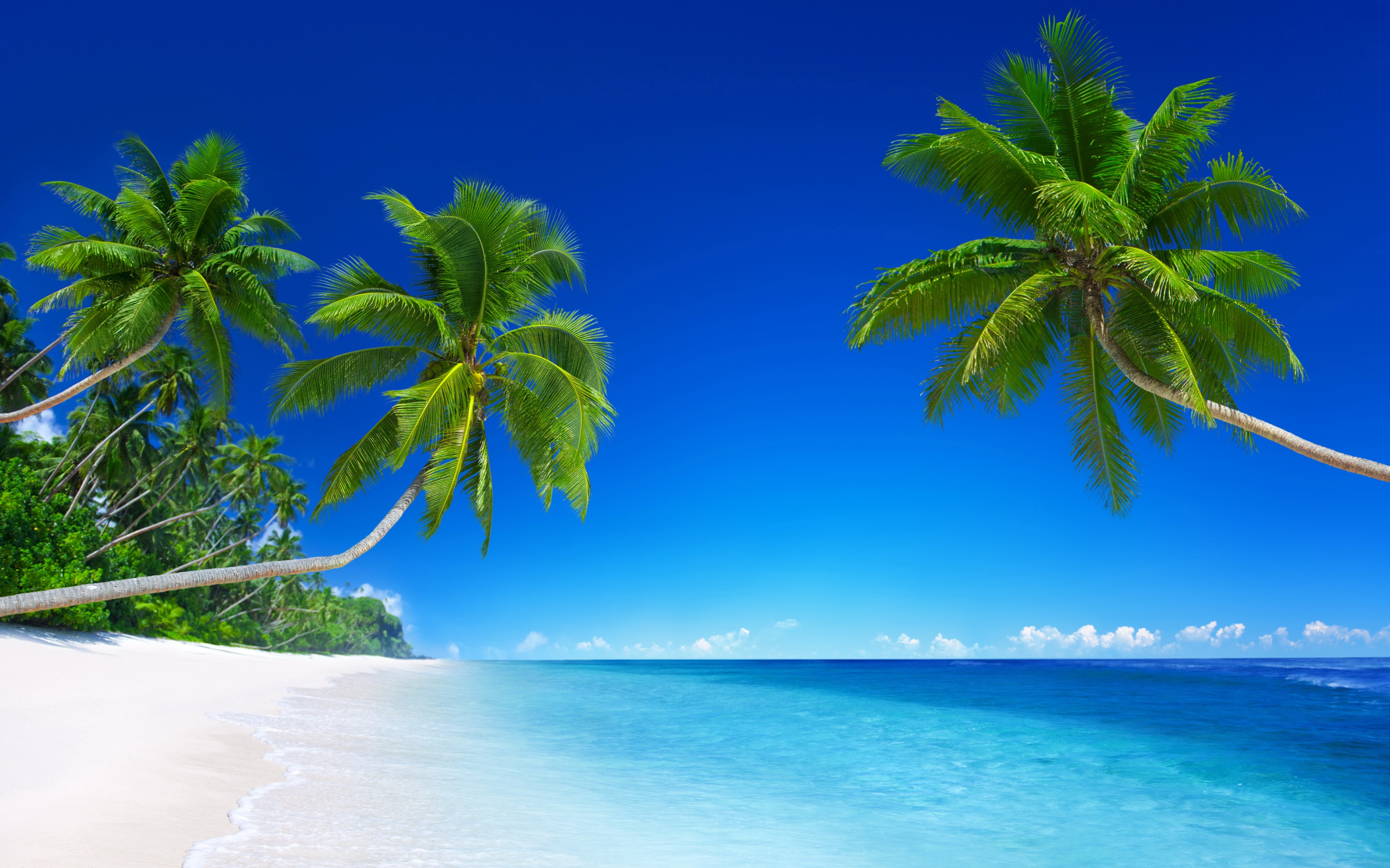 Обои пальмы остров чистый океан на рабочий стол