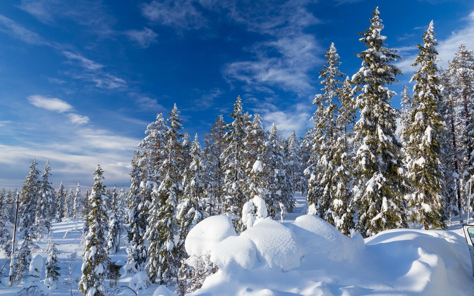 Бесплатное фото Зимняя Швеция
