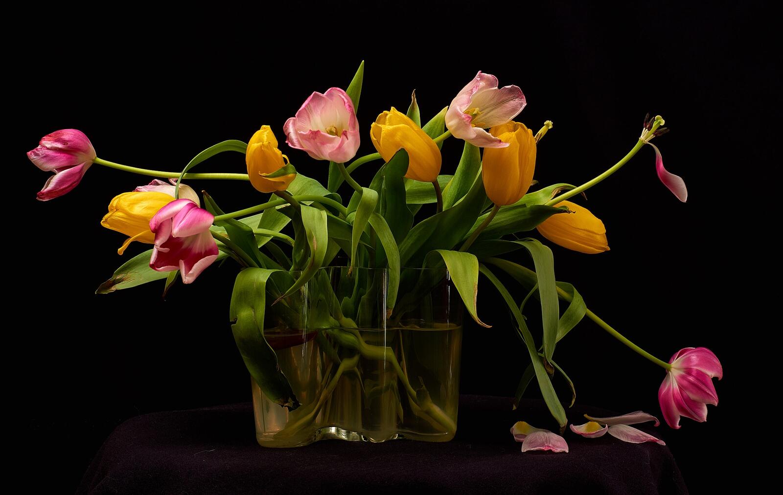 Розы и тюльпаны в одной вазе. Тюльпаны в вазе. Цветы в вазе на черном фоне. Тюльпаны на черном фоне. Тюльпаны на темном фоне.
