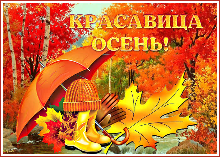 Открытка бесплатно красивая картинка красавица осень, природа, листья
