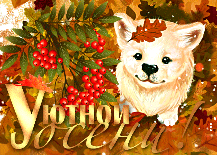 Postcard card cozy autumn autumn dog - free greetings on Fonwall