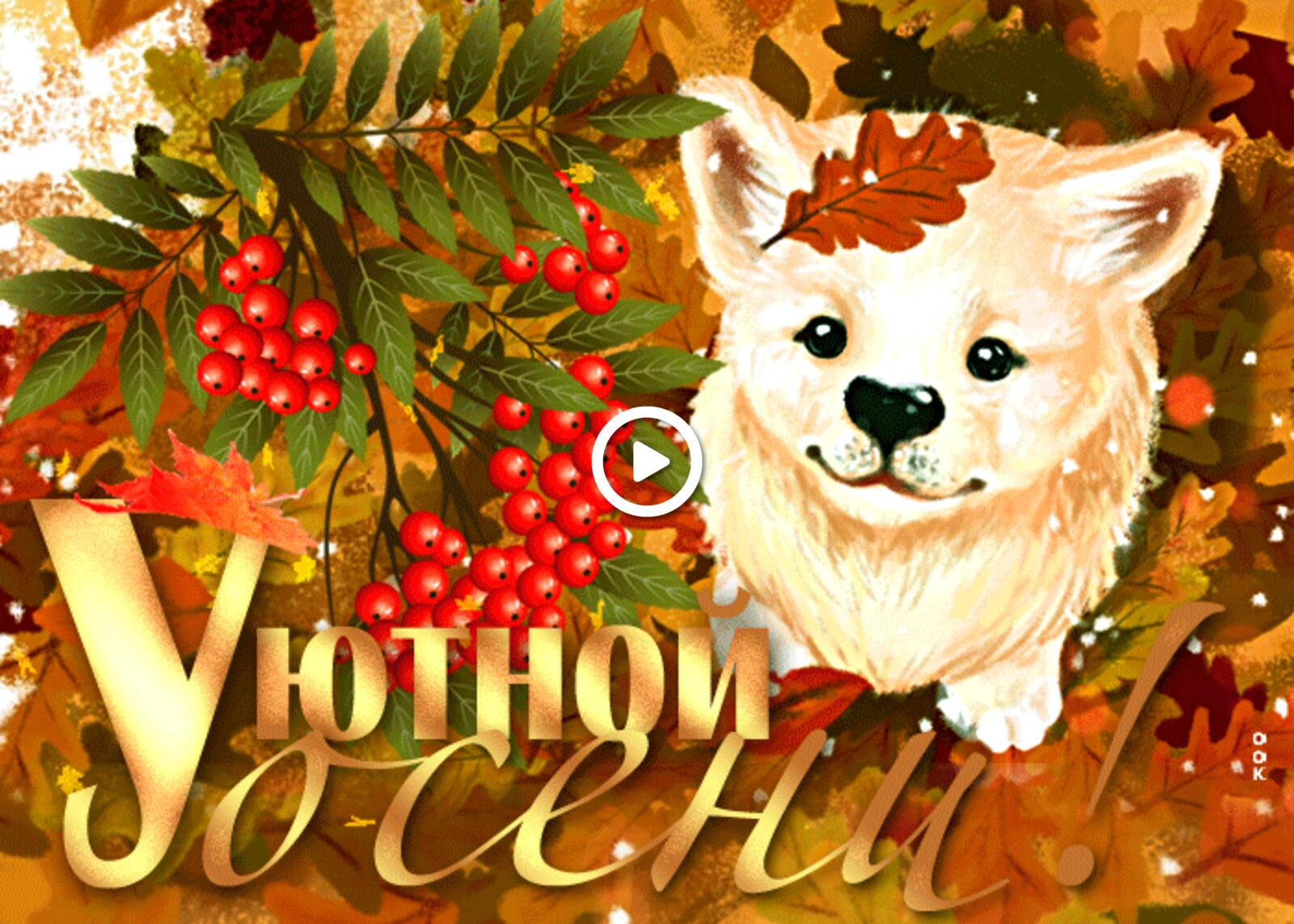 cozy autumn autumn dog