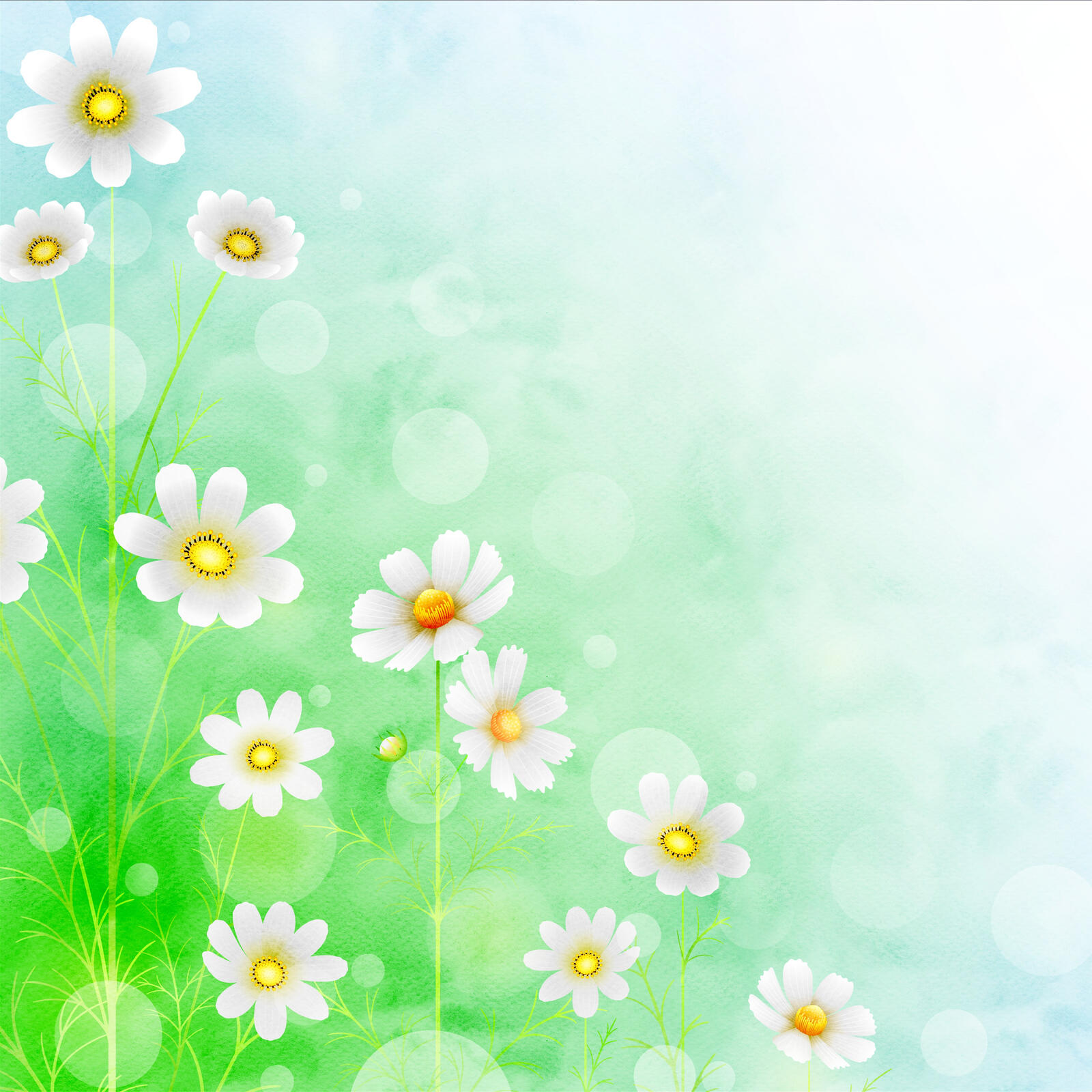 Wallpapers flowers paper chamomile on the desktop