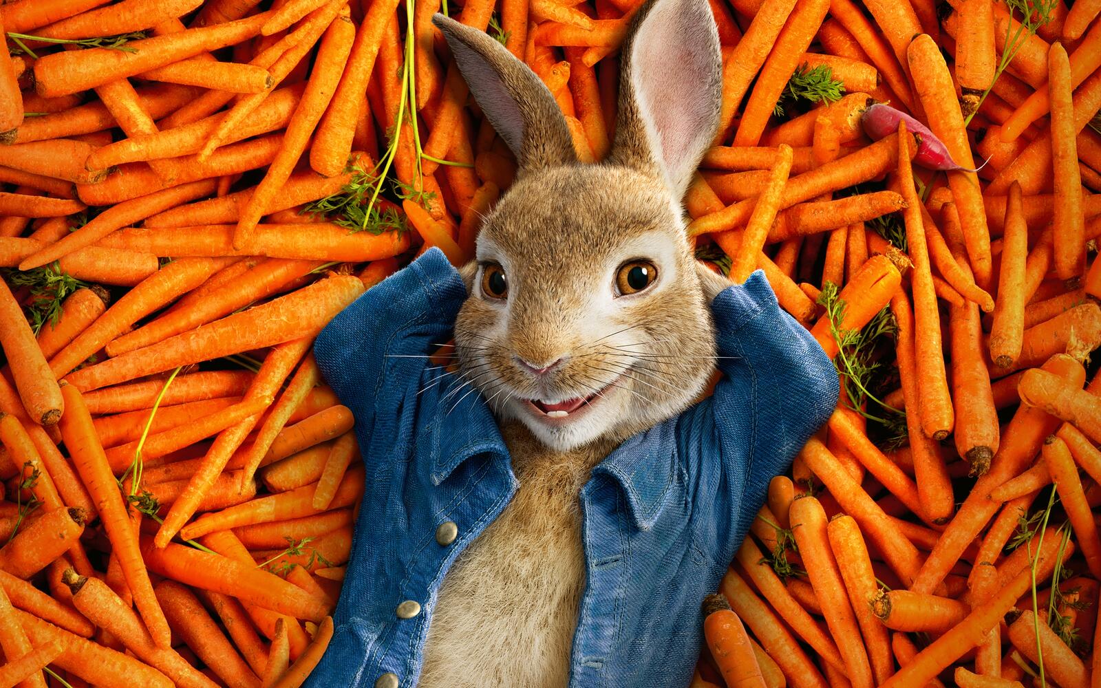 Обои морковь Кролик Питер 2018 3д графика на рабочий стол