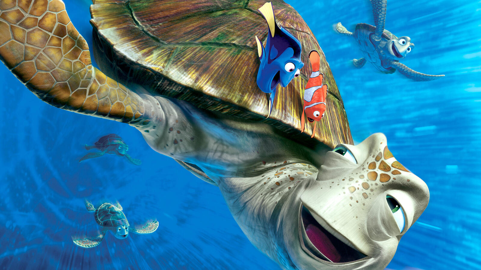 Wallpapers finding Nemo cinema animated movies on the desktop