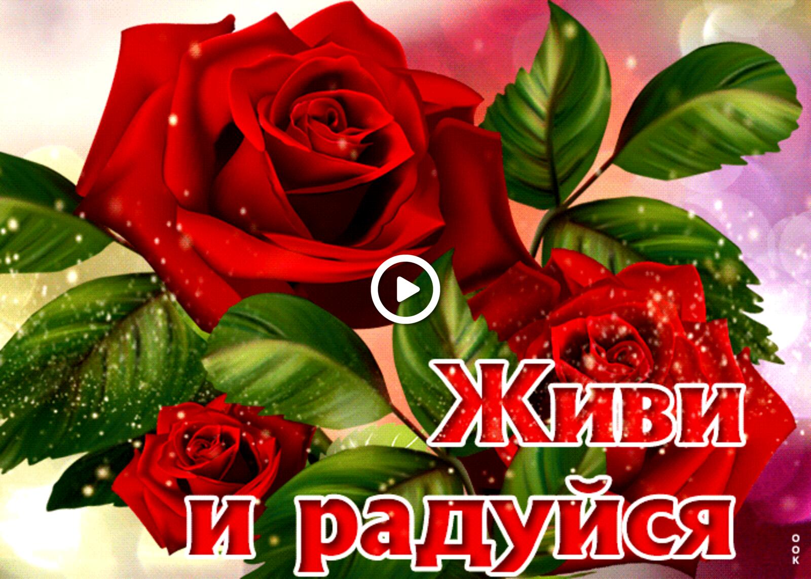 Открытка на тему креативная с розами красные розы живи и радуйся бесплатно
