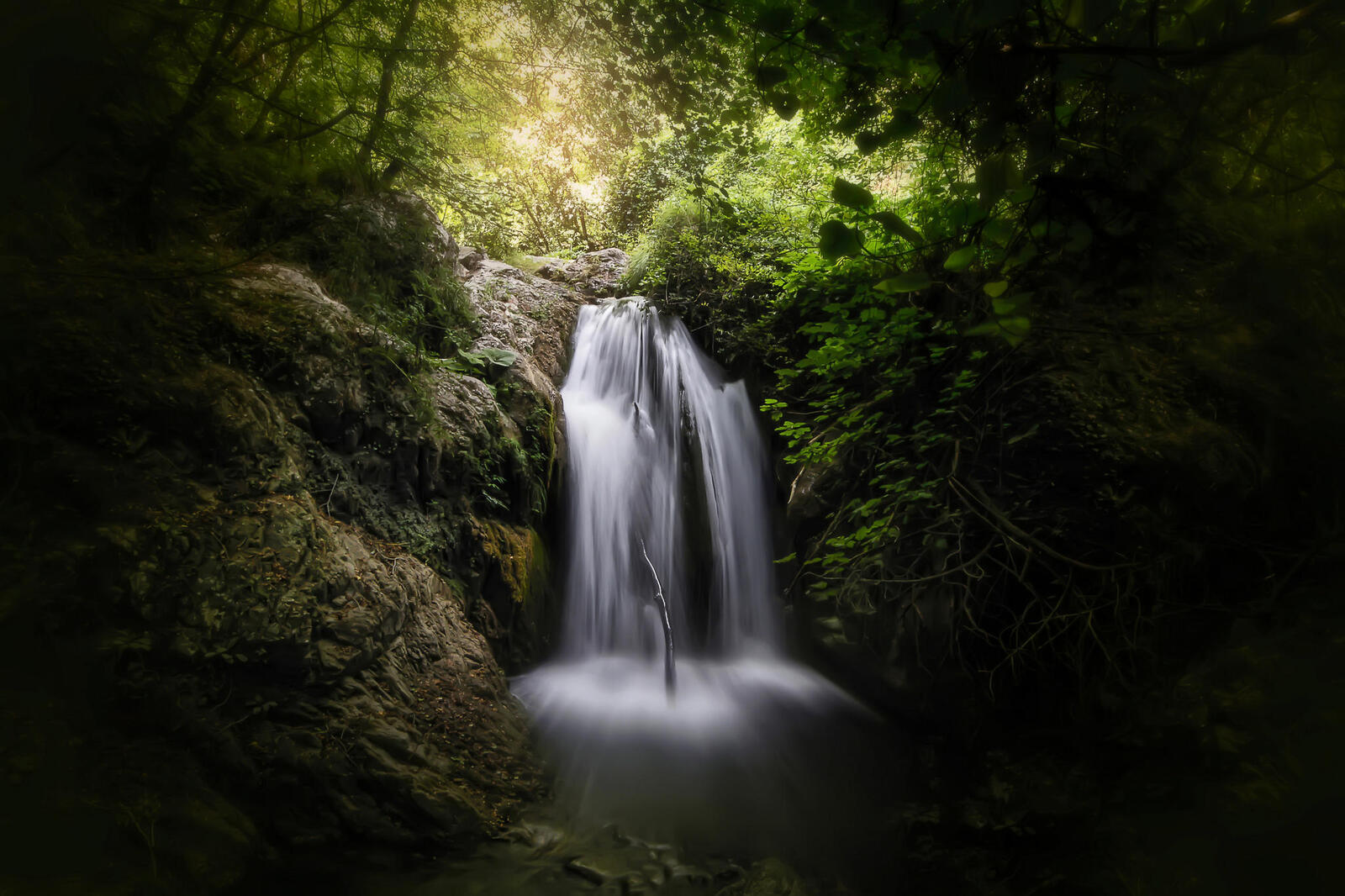 Wallpapers nature waterfall in the forest forest on the desktop