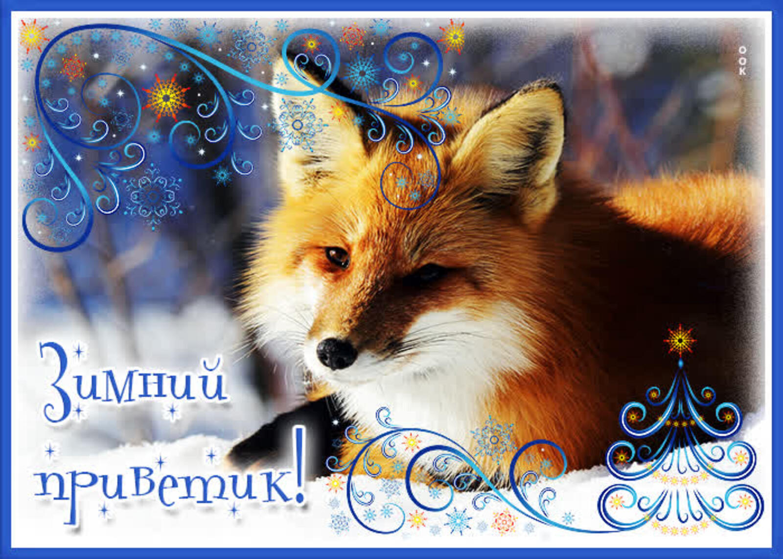 winter greetings fox tex