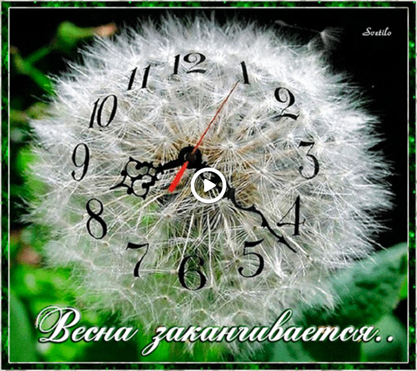 dandelion clock spring