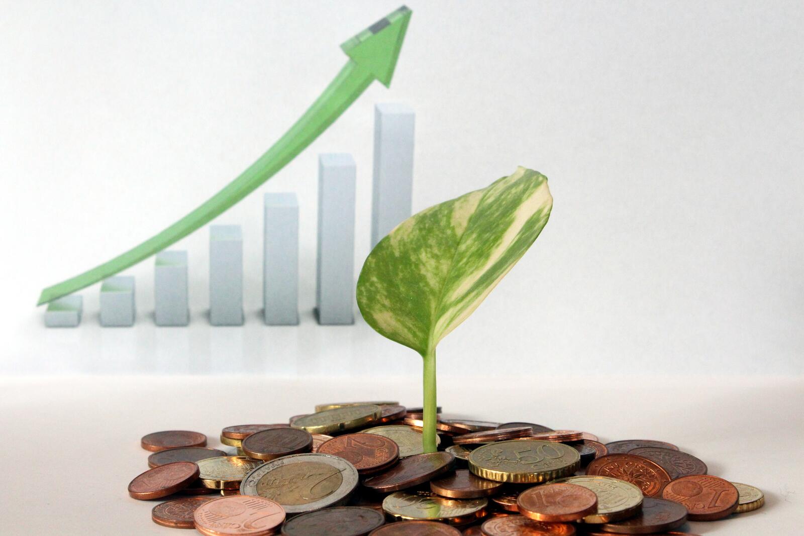 Wallpapers growth leaf money on the desktop