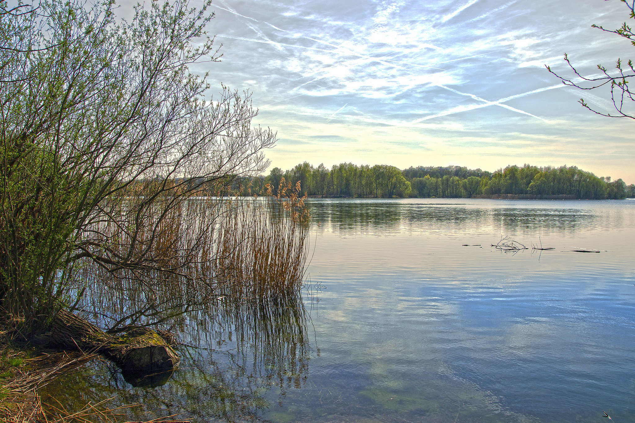 Фото бесплатно Сонненберг, пруд, рыболовный пруд