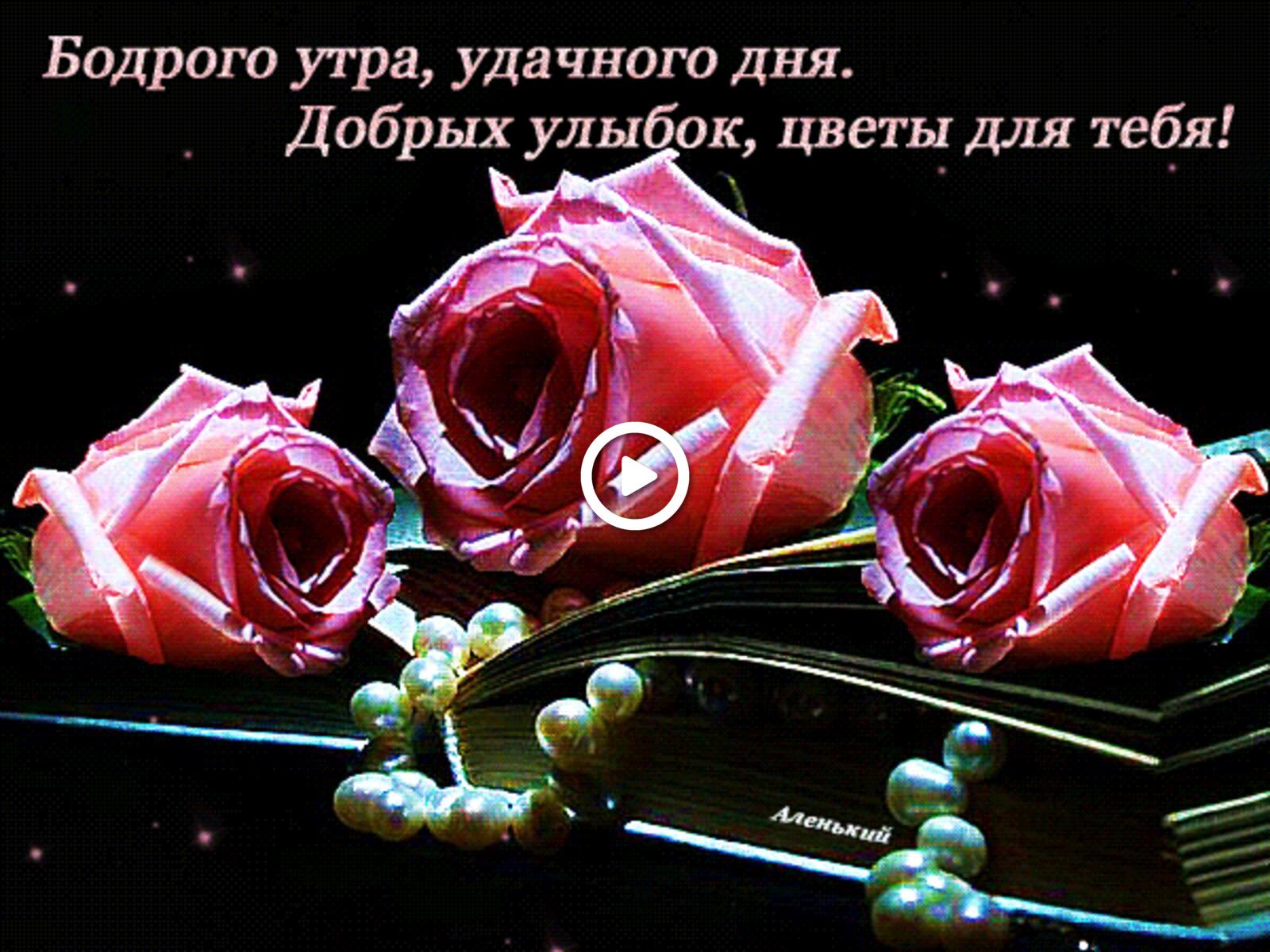 一张以玫瑰 早安 鲜花为主题的明信片