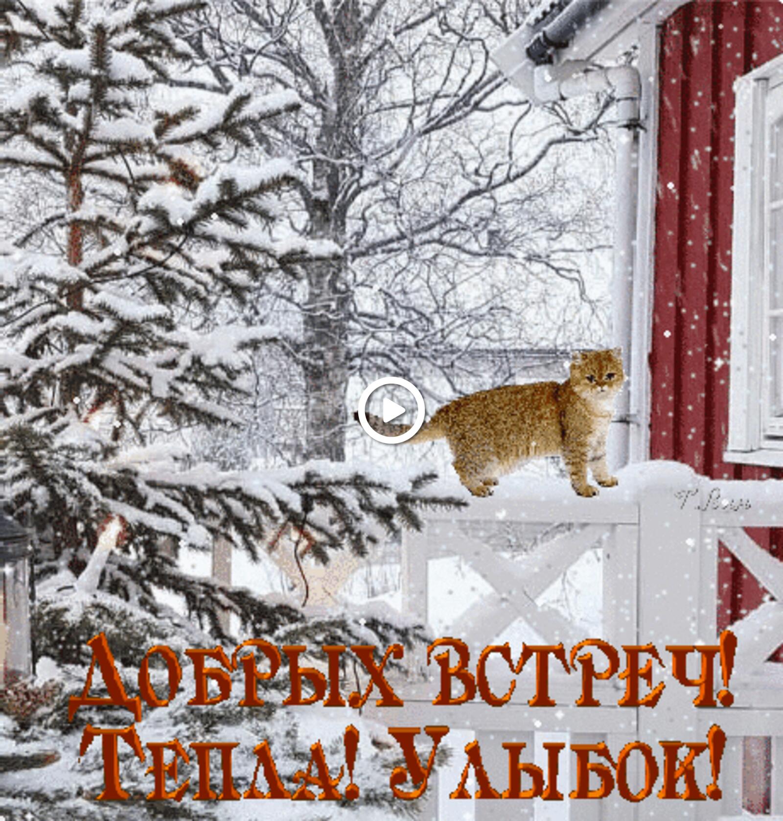 Открытка на тему зимнее утро снег кот бесплатно