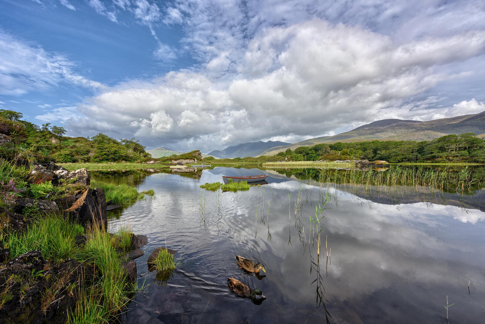 Wallpapers Upper Lake Killarney National Park County Kerry on the desktop