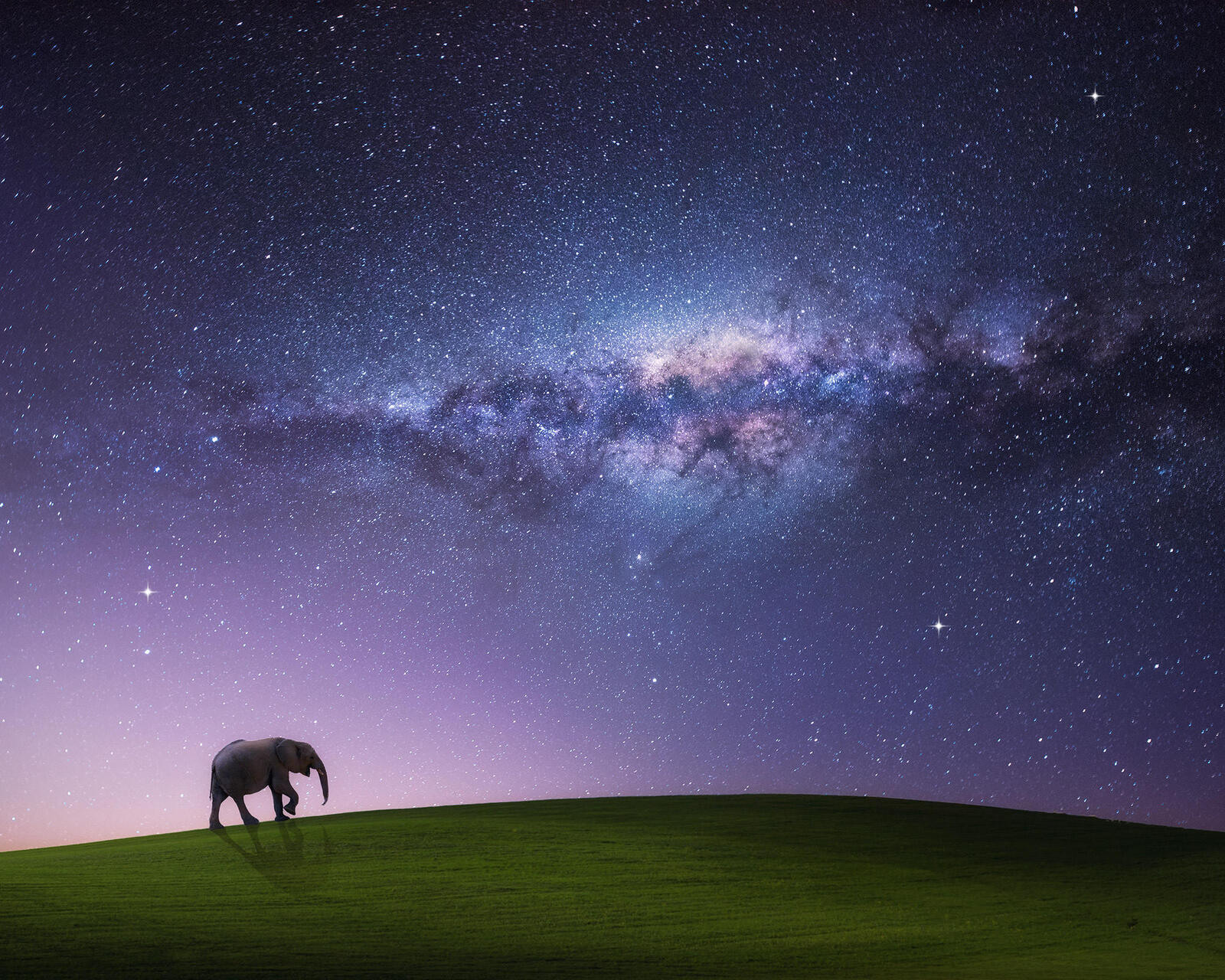 Wallpapers hill elephant radiance on the desktop