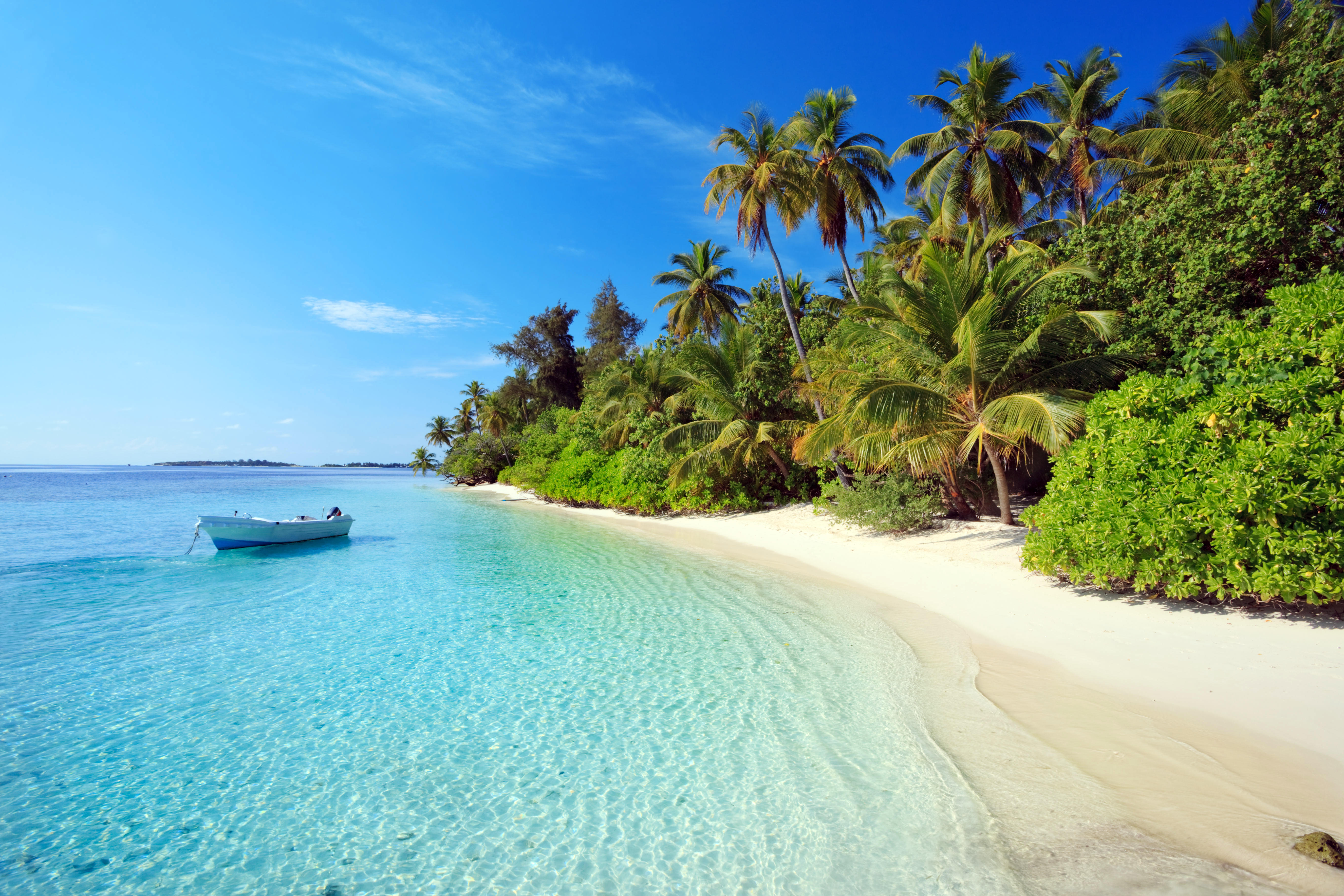 Обои пальмы пляж Мальдивы на рабочий стол