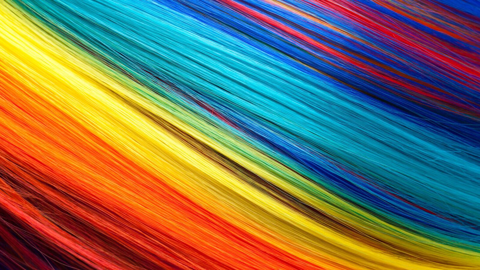 Wallpapers colorful lines wallpaper thin threads abstraction on the desktop