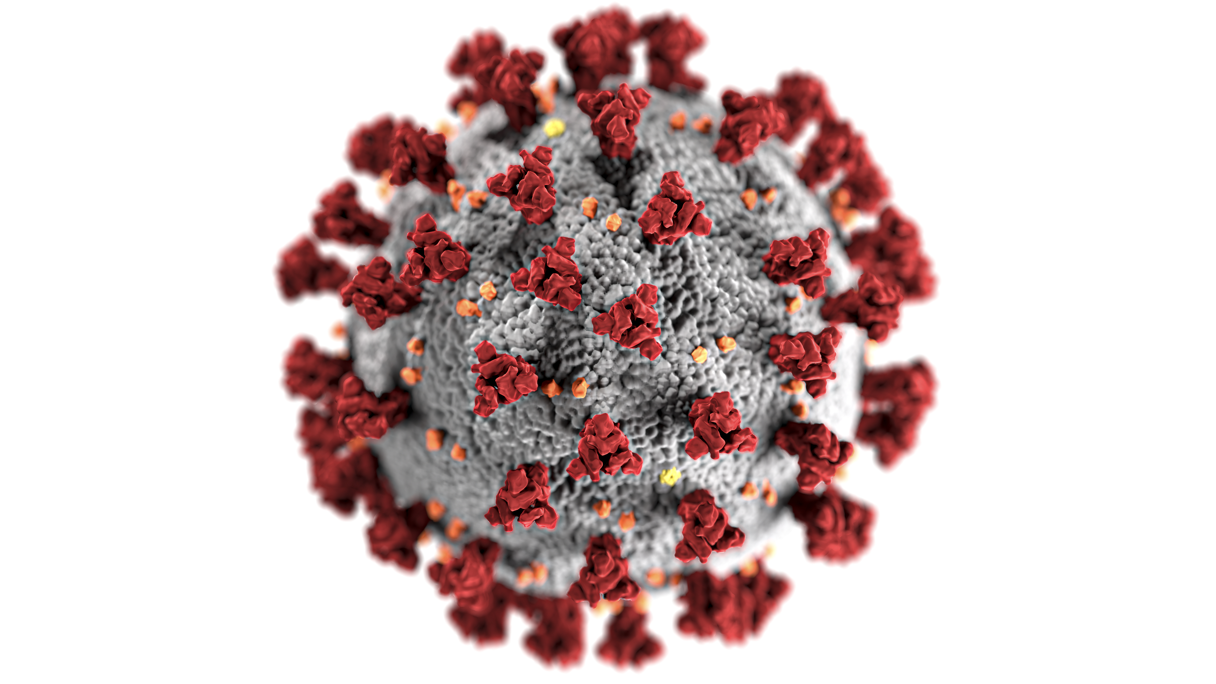 Photo free coronavirus, cell, pandemia